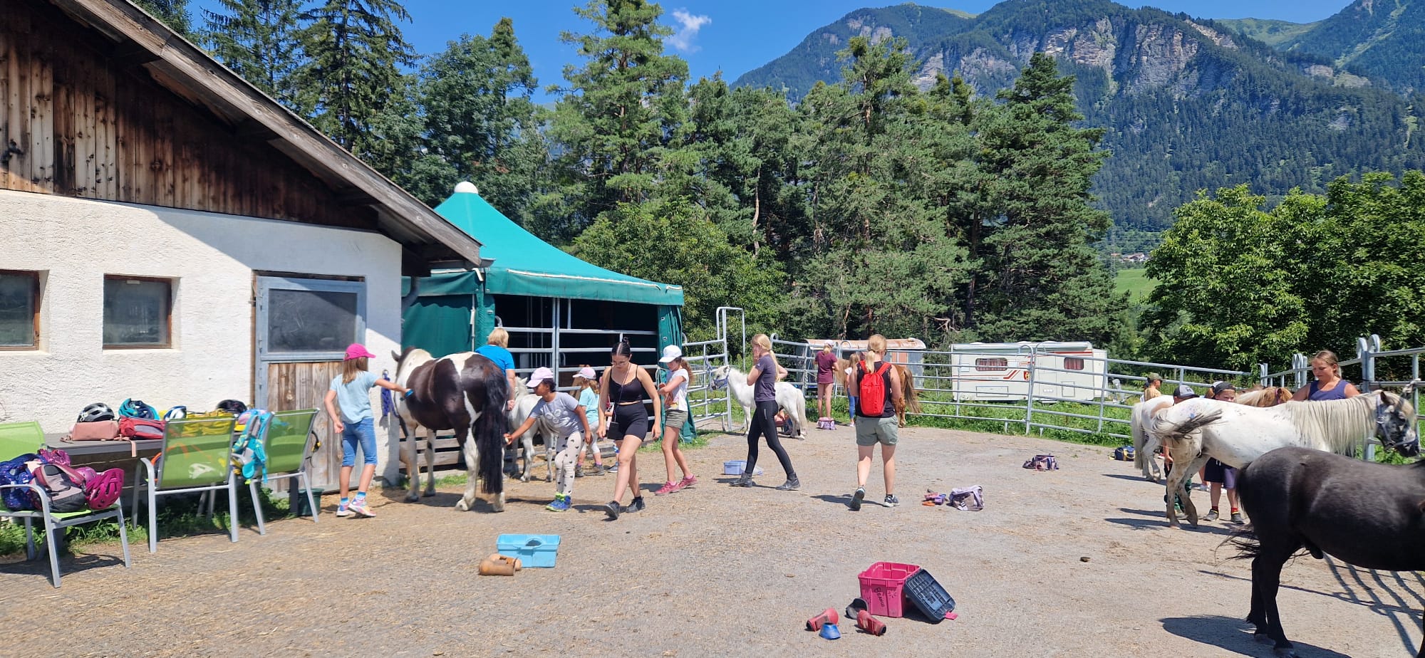 Alles rund ums Pferd