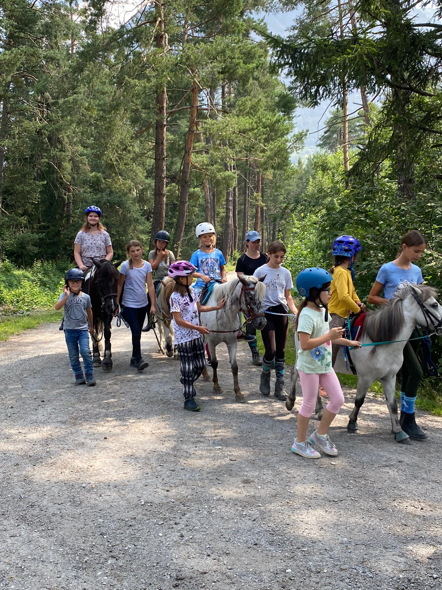 Alles Rund um's Pferd