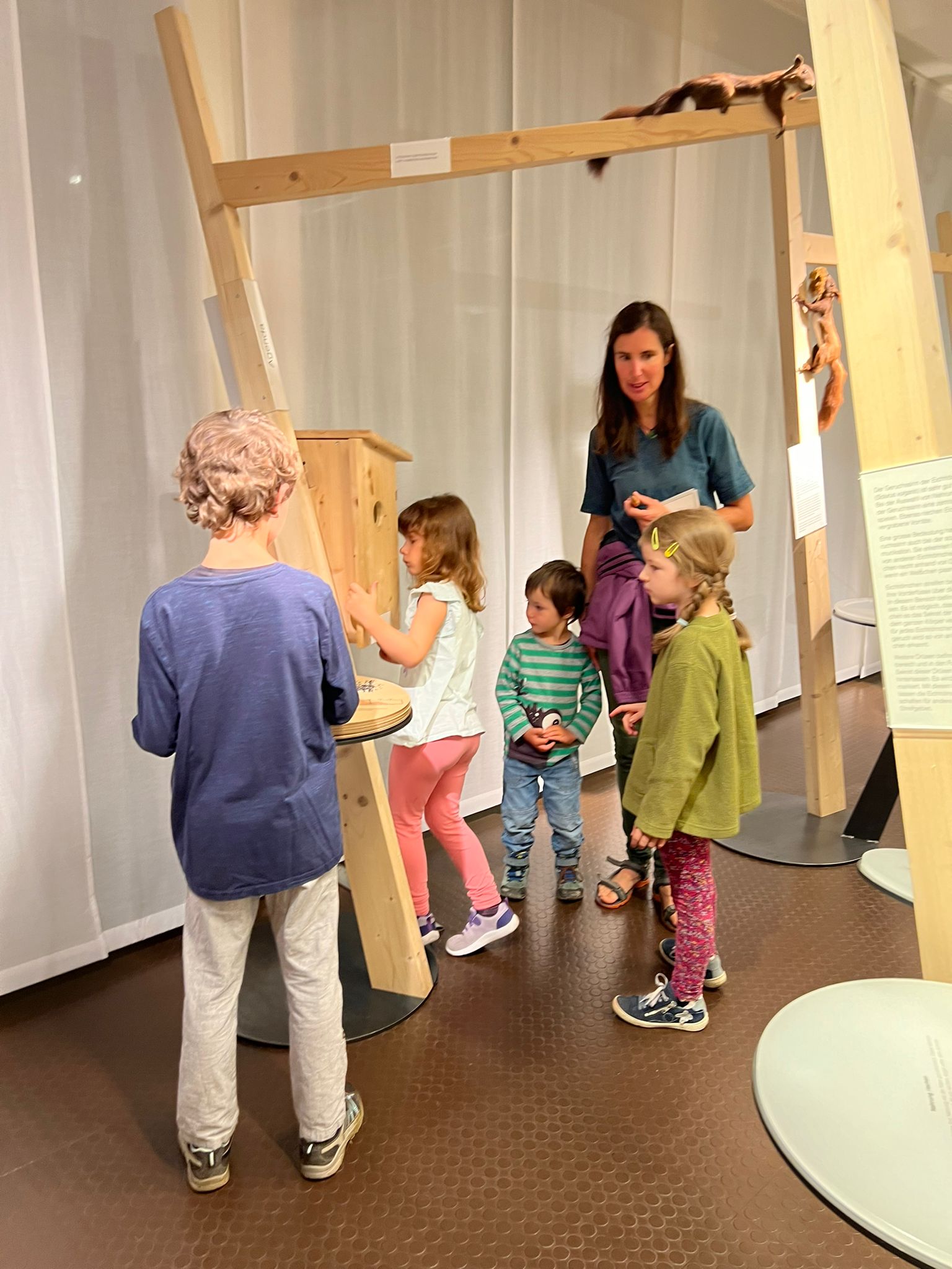 Naturmuseum Eichhörnchen