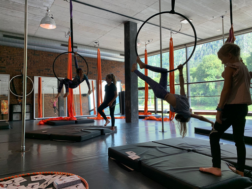 Aerial Hoop