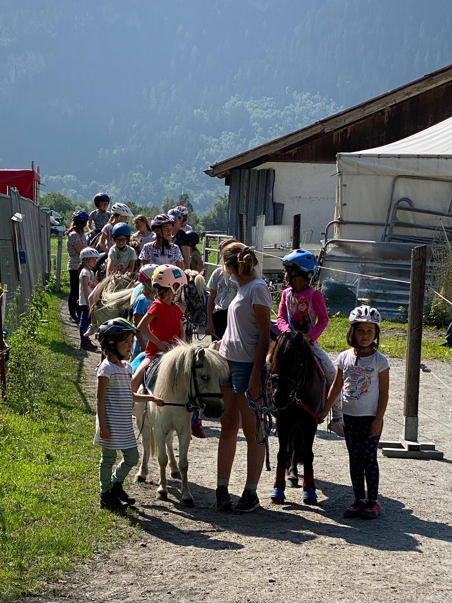 Alles Rund um's Pferd