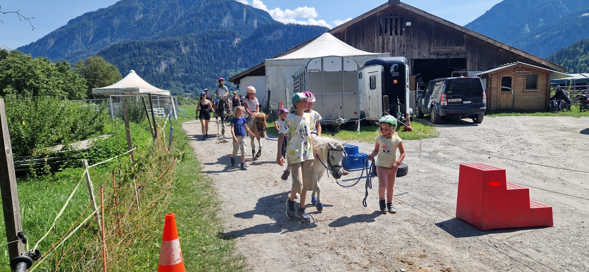 Alles rund ums Pferd