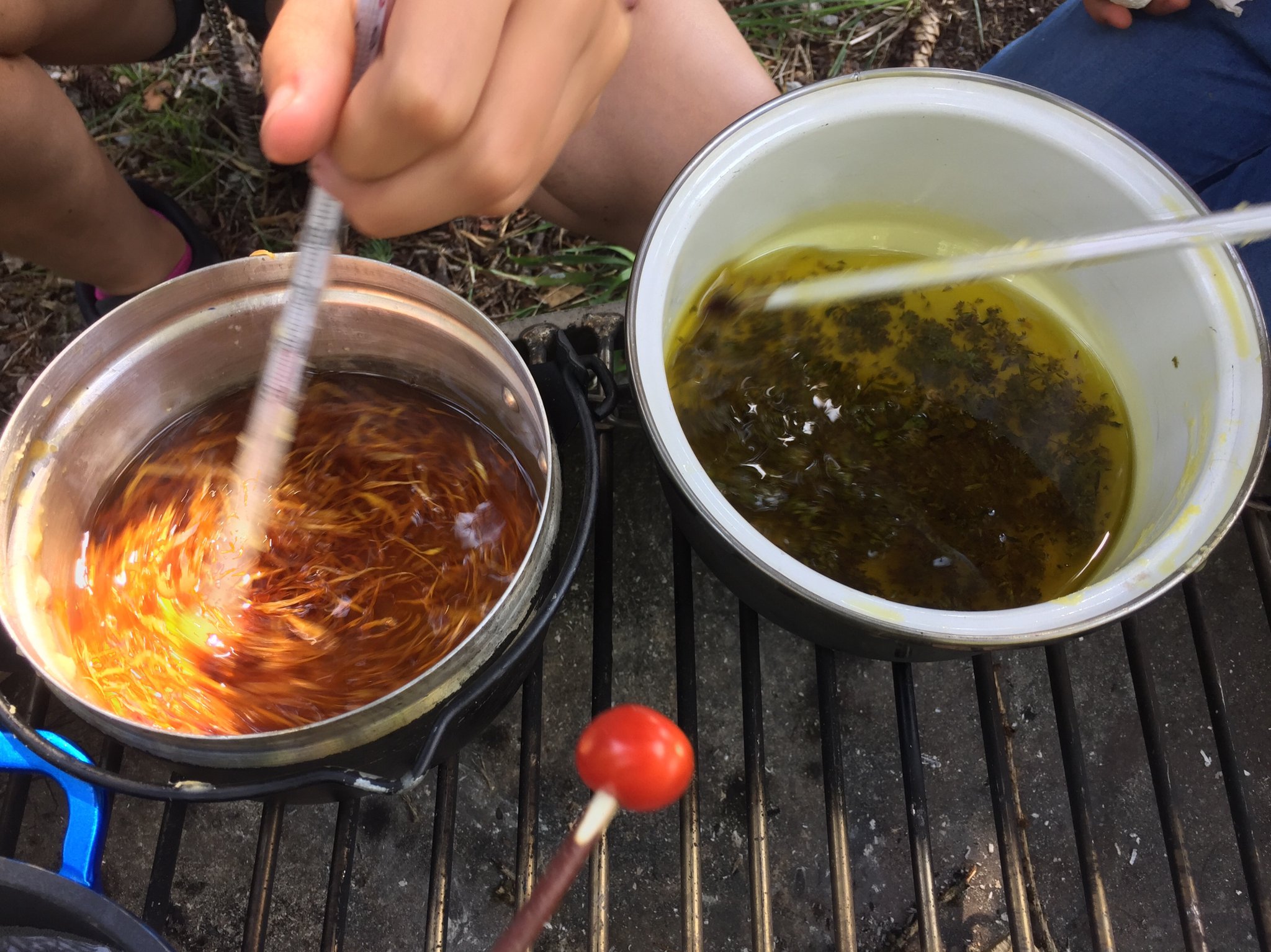 Rucki-Zucki-Salbe herstellen