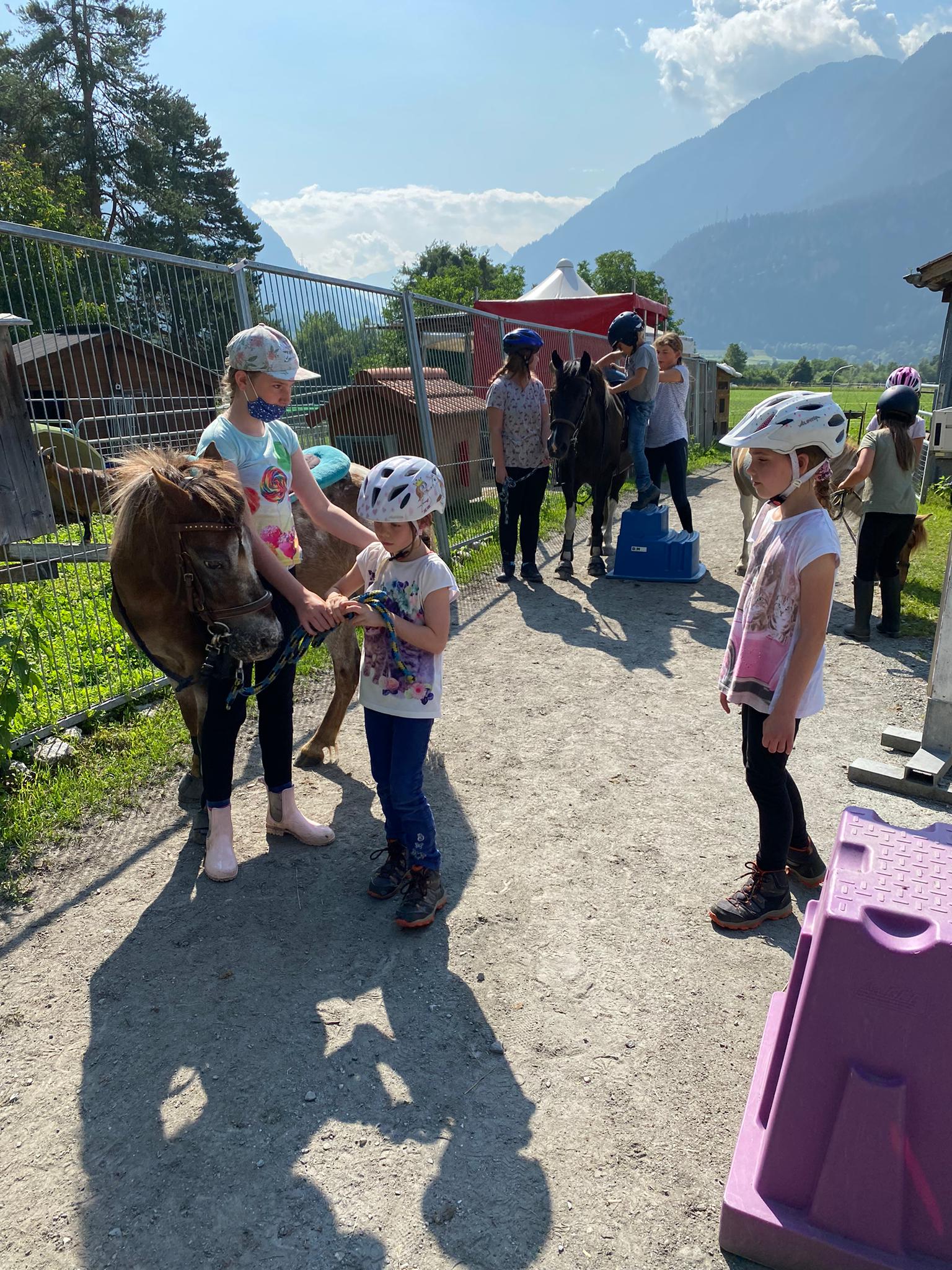 Alles Rund um's Pferd