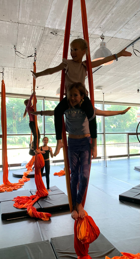 Aerial Hoop