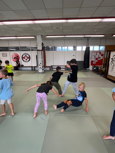 Aikido