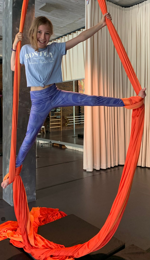 Aerial Hoop