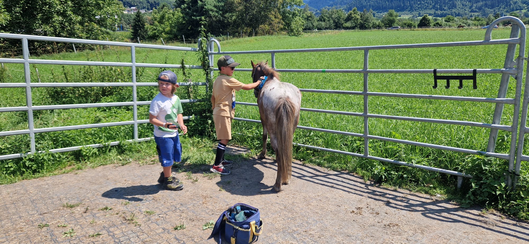 Alles rund ums Pferd