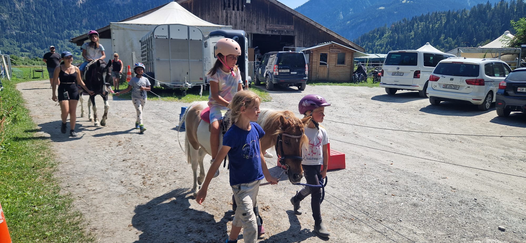 Alles rund ums Pferd