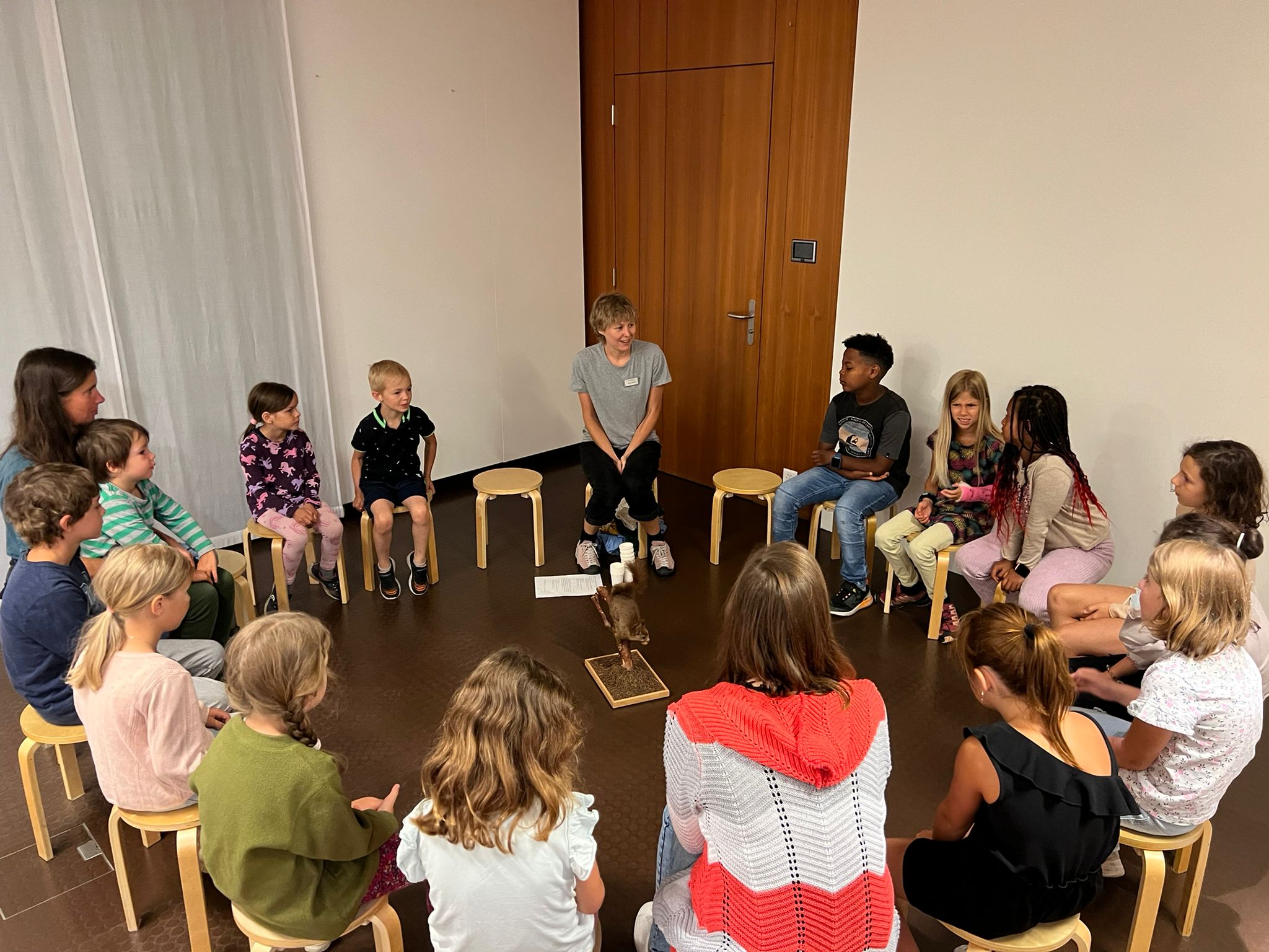 Naturmuseum Eichhörnchen