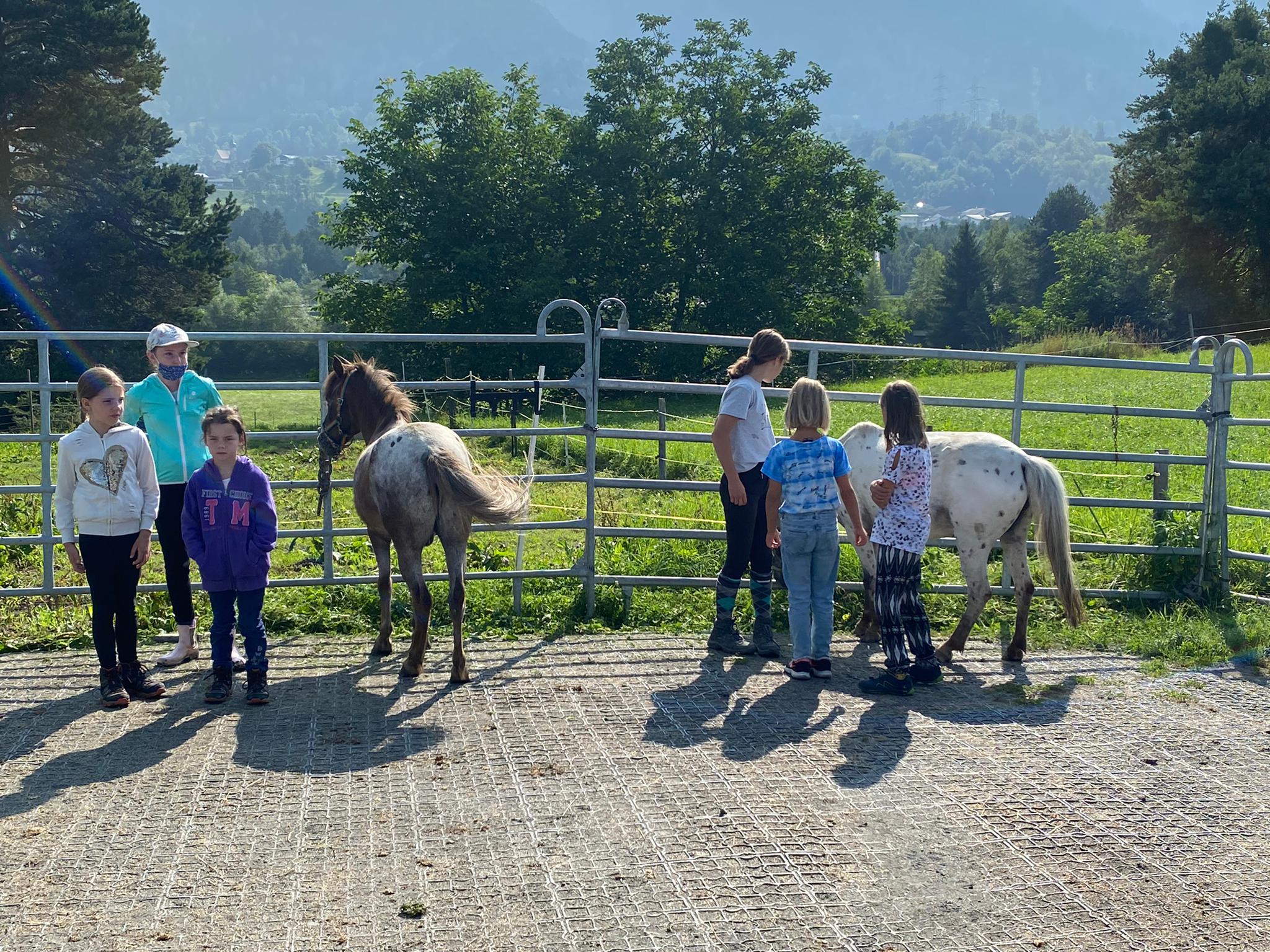 Alles Rund um's Pferd