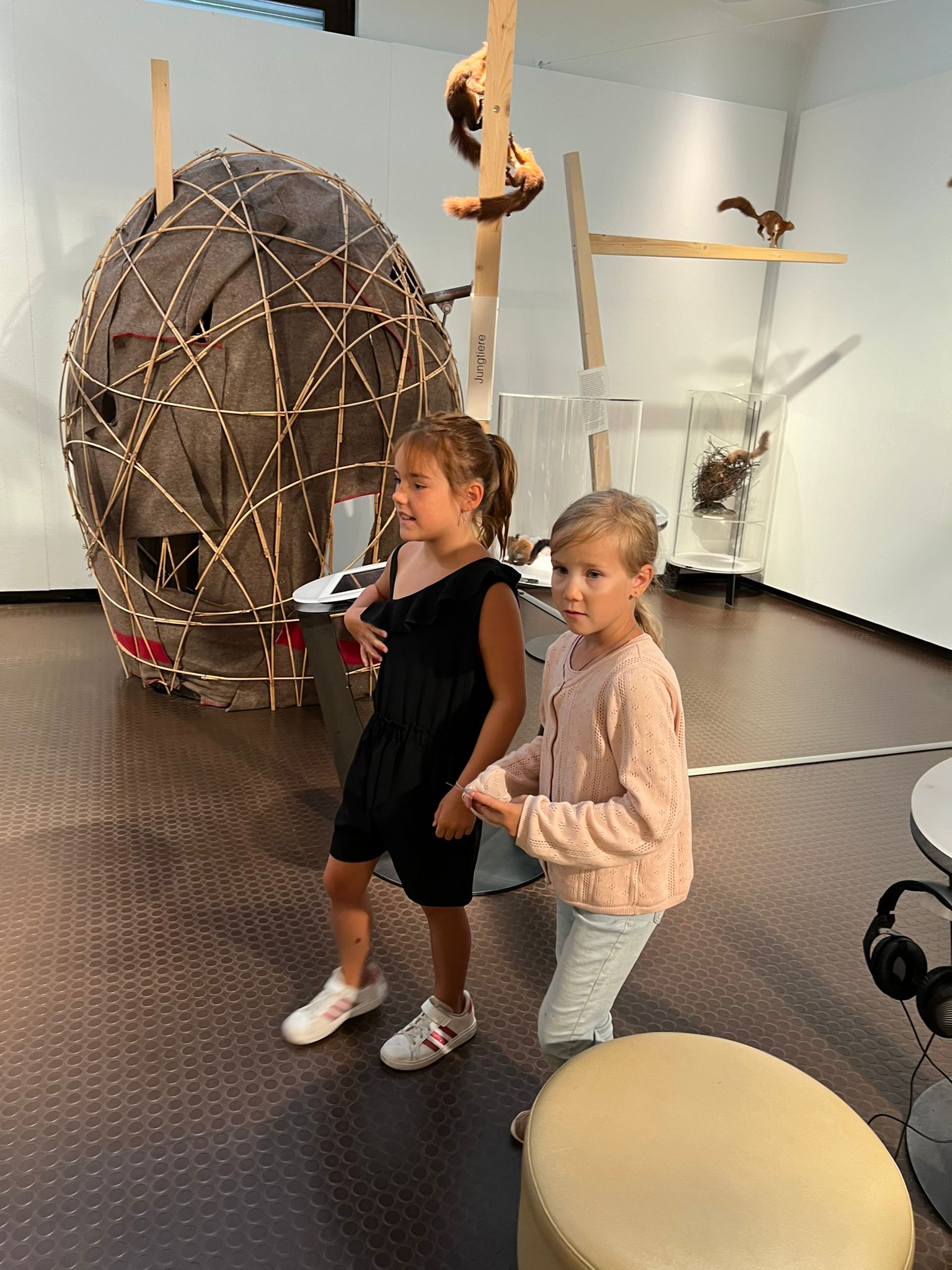 Naturmuseum Eichhörnchen