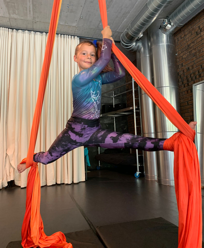 Aerial Hoop