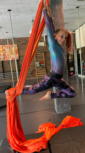 Aerial Hoop