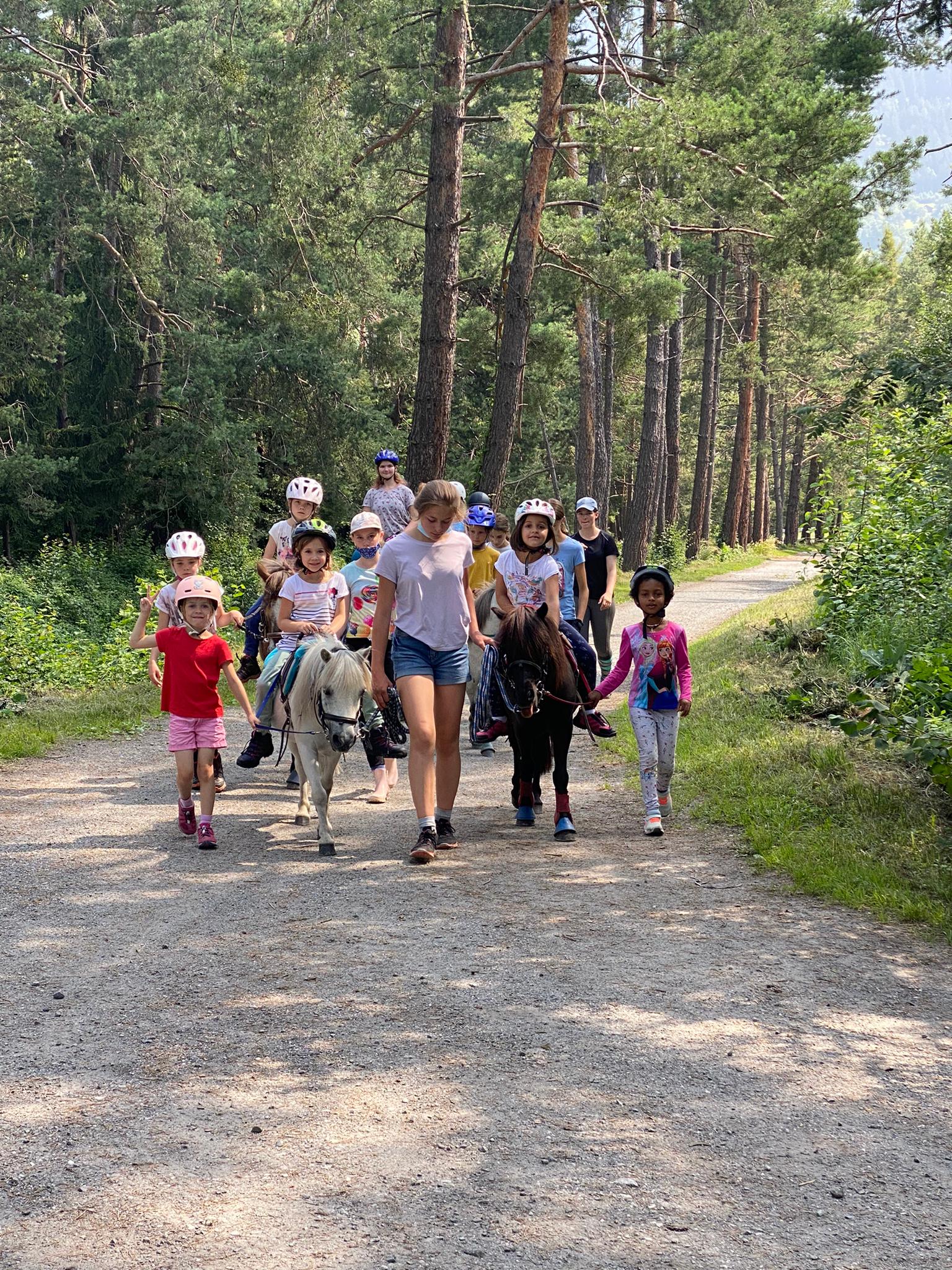 Alles Rund um's Pferd