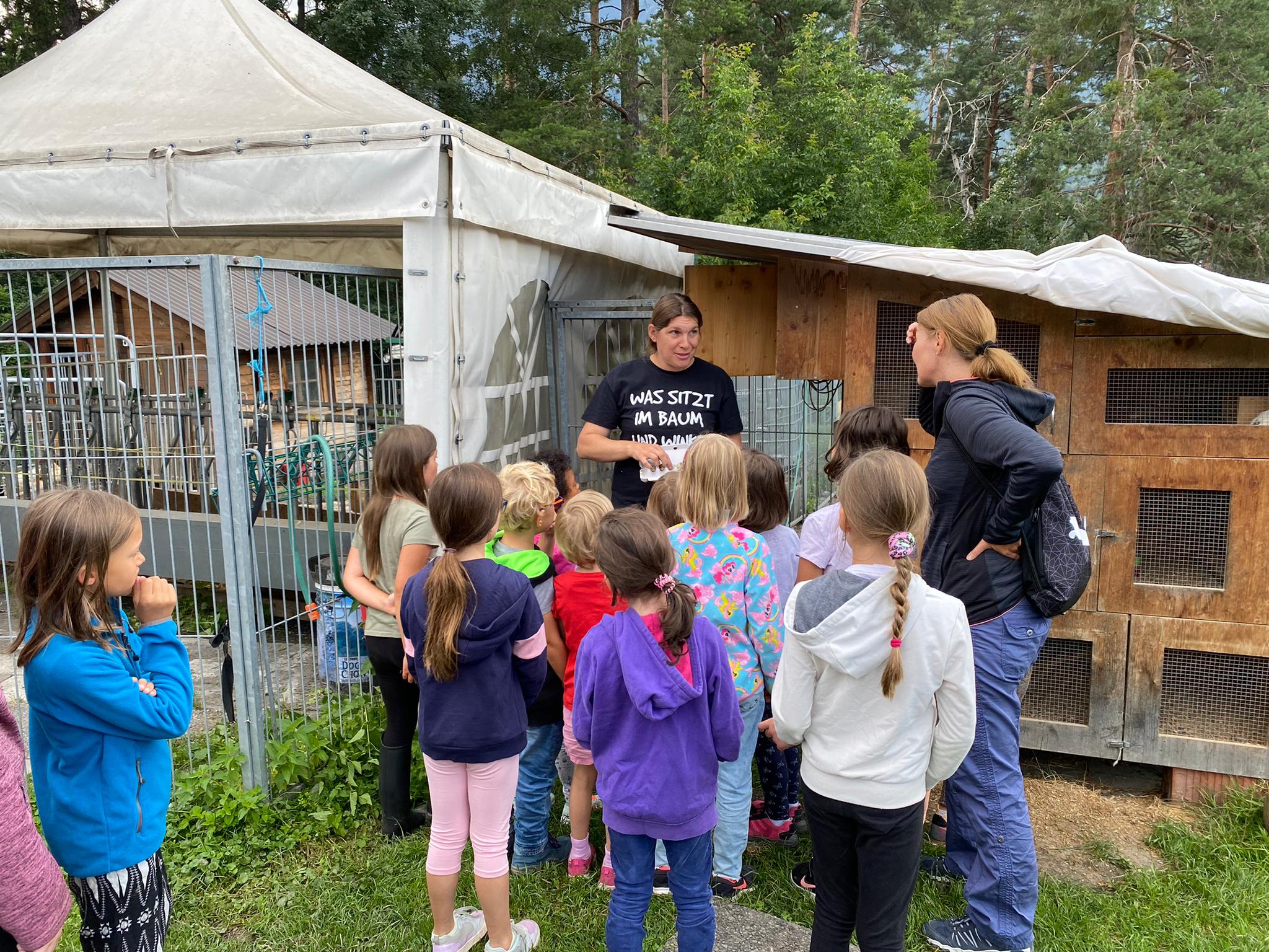 Alles Rund um's Pferd