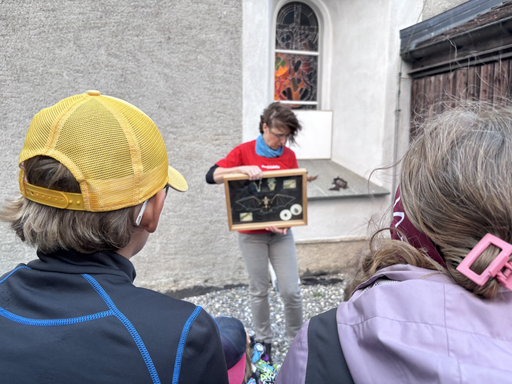 Fledermaus Exkursion