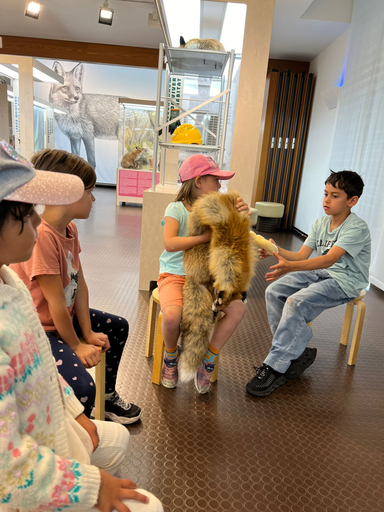 Naturmuseum