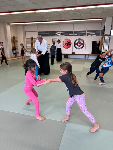 Aikido