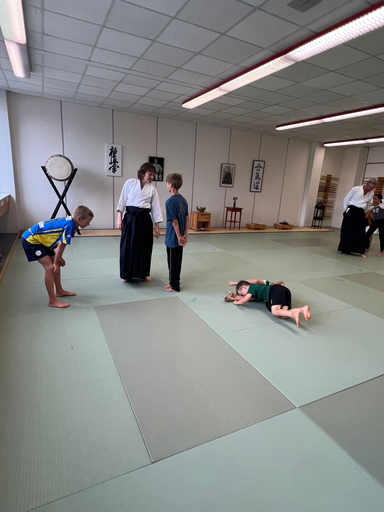 Aikido