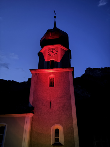 Fledermaus Exkursion