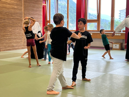 Aikido