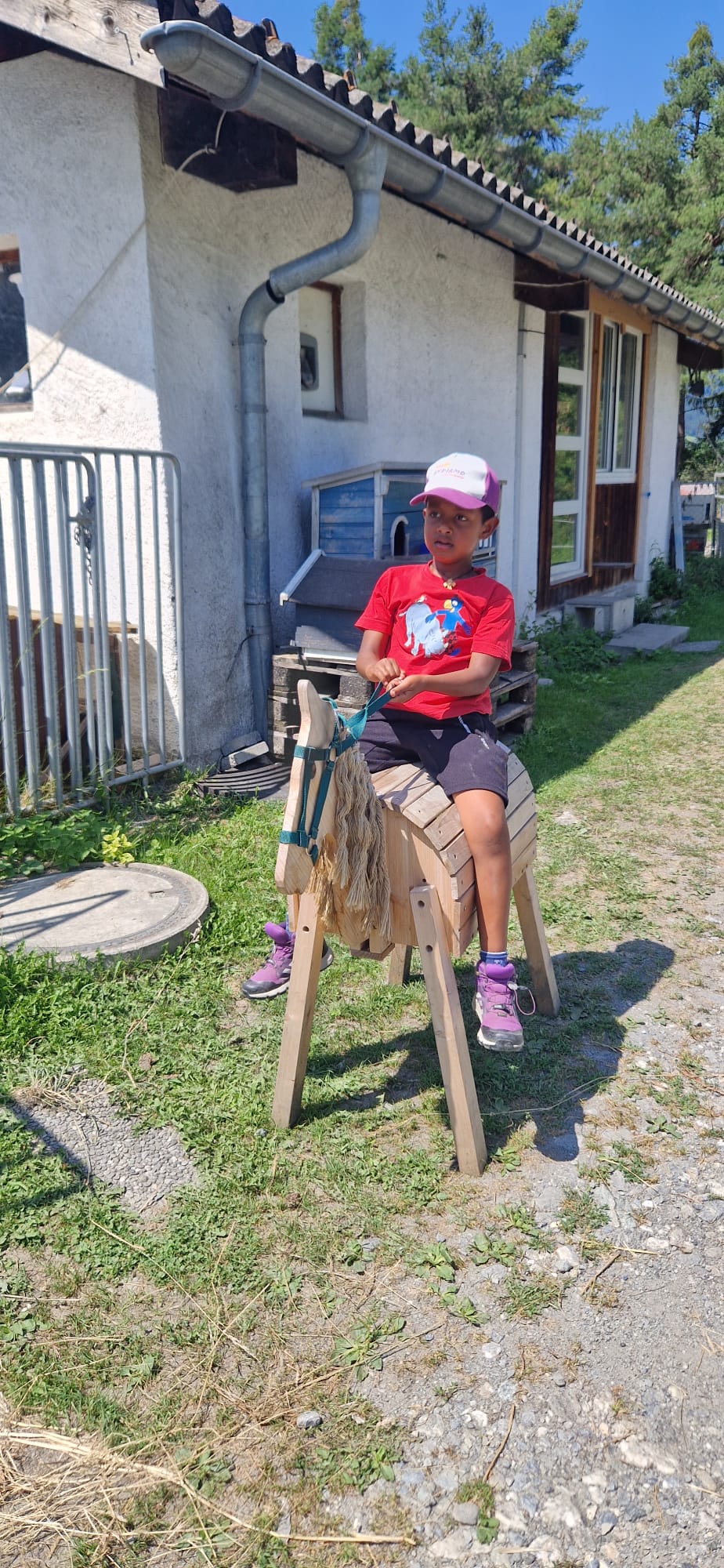 Alles rund ums Pferd