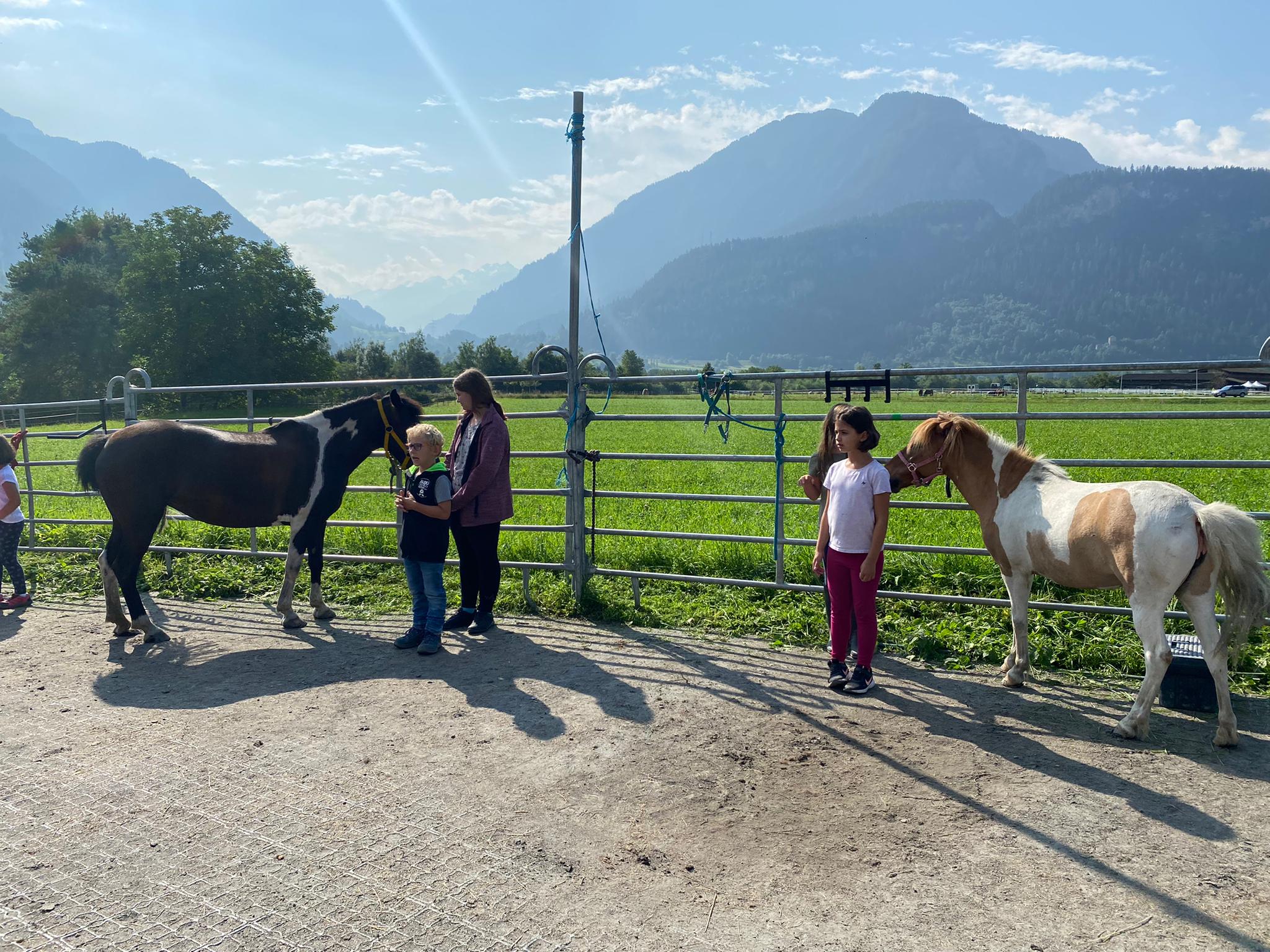 Alles Rund um's Pferd