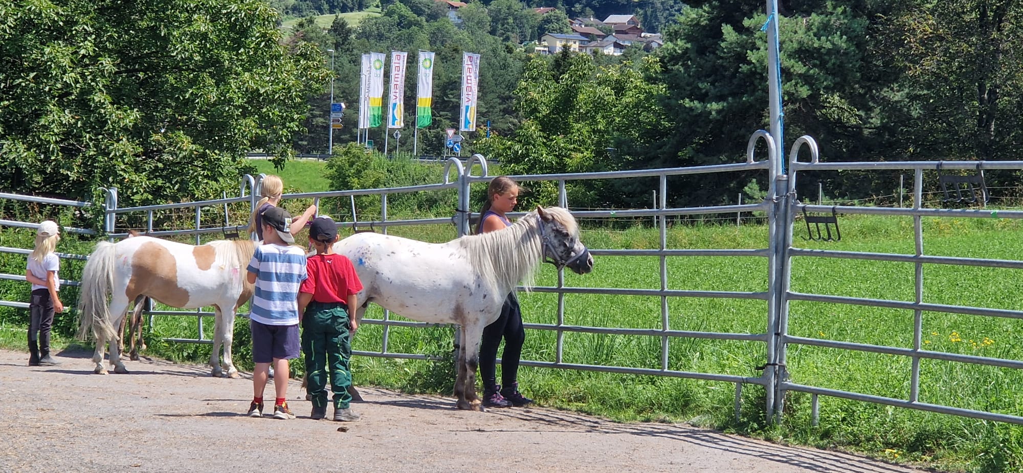 Alles rund ums Pferd