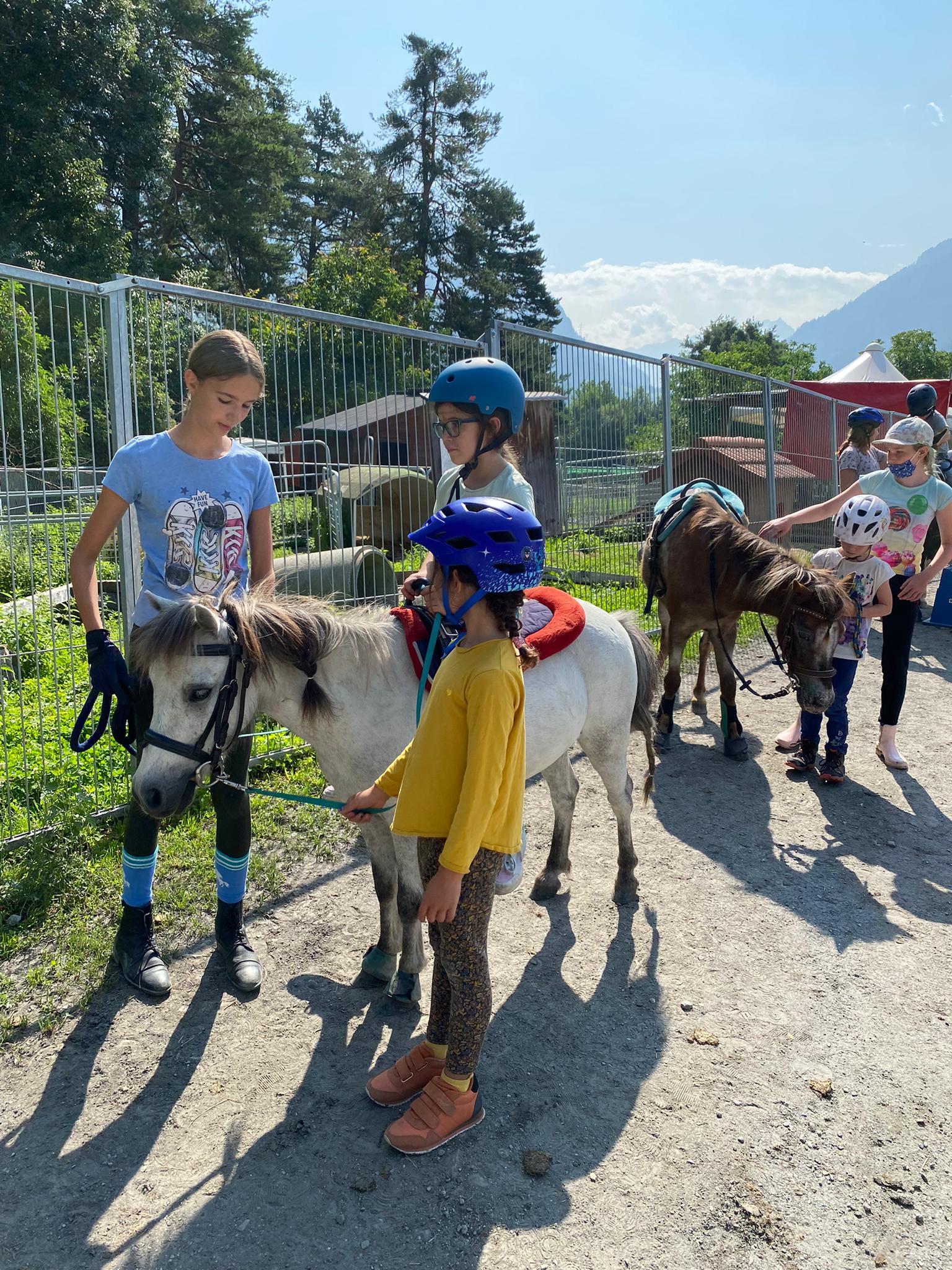 Alles Rund um's Pferd