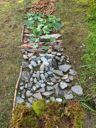 In der Natur - mit der Natur