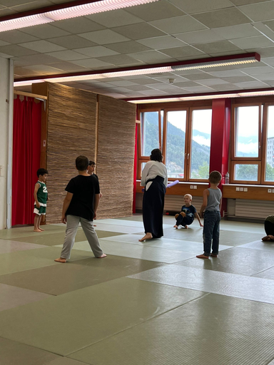 Aikido