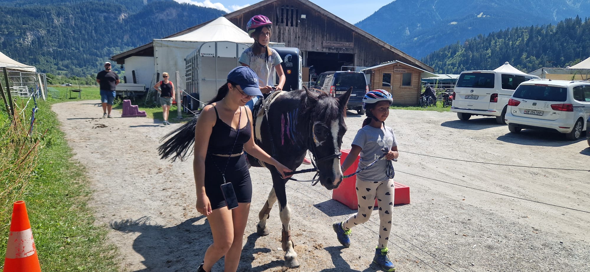 Alles rund ums Pferd