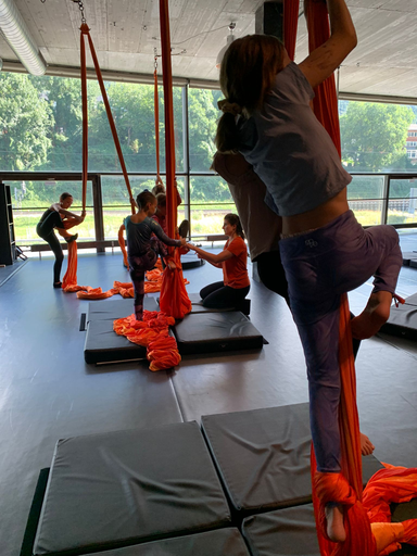 Aerial Hoop