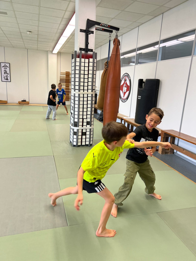 Aikido