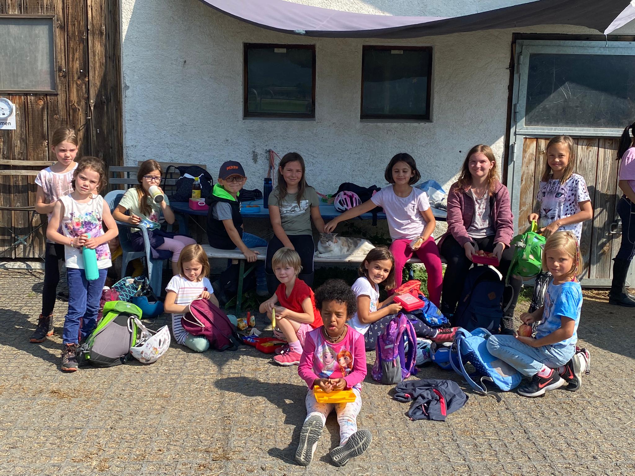 Alles Rund um's Pferd