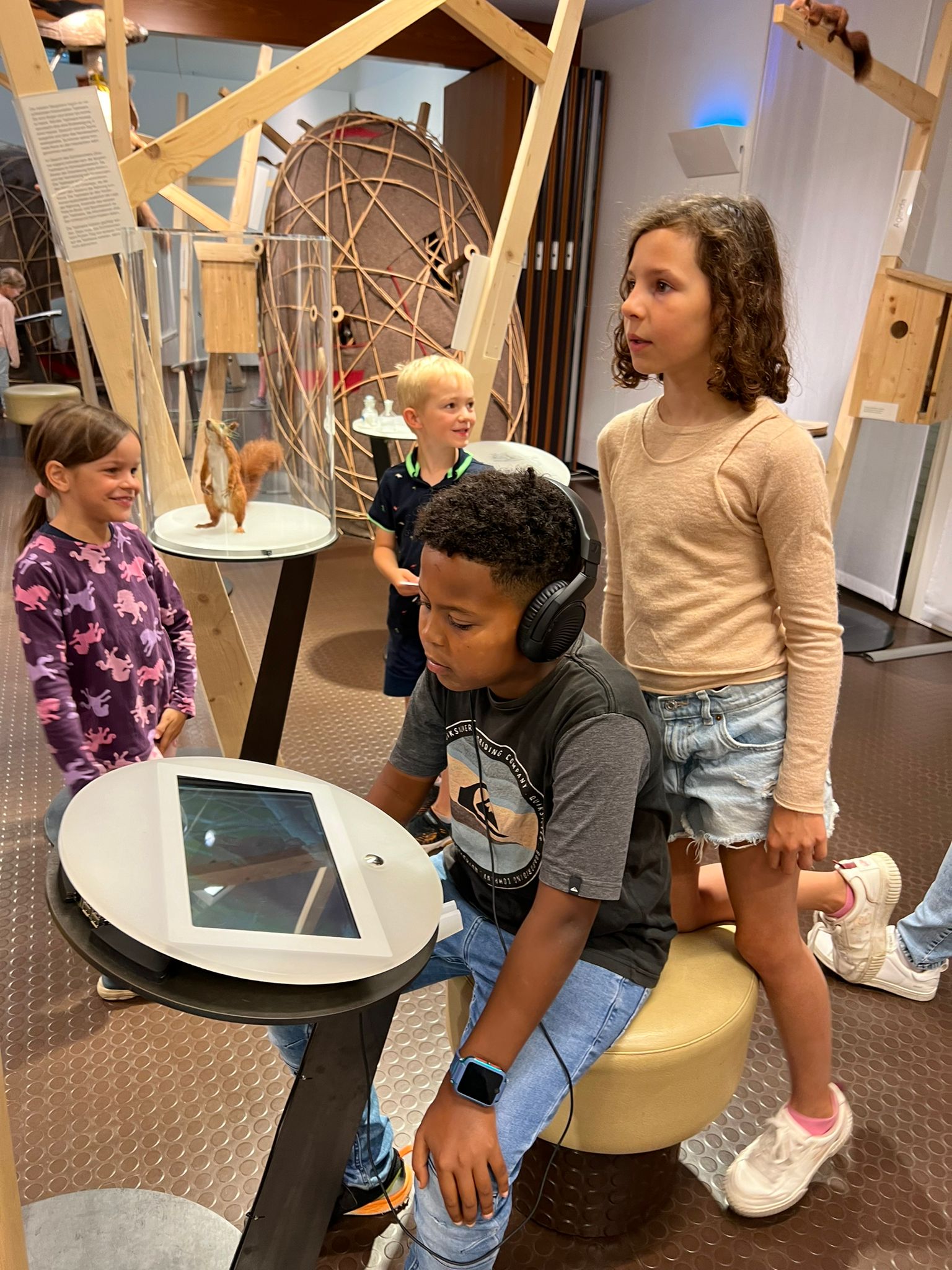 Naturmuseum Eichhörnchen