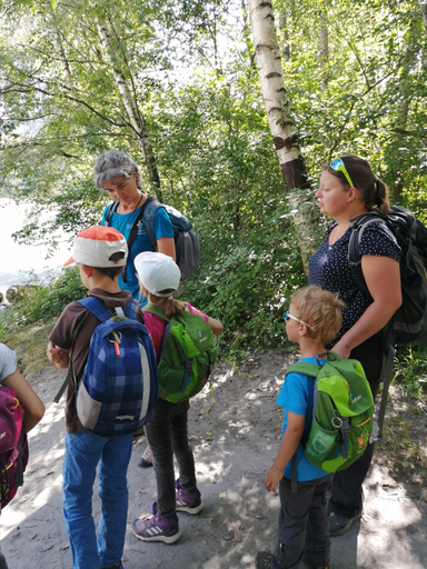 Rheinschlucht entdecken