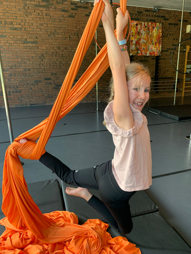 Aerial Hoop