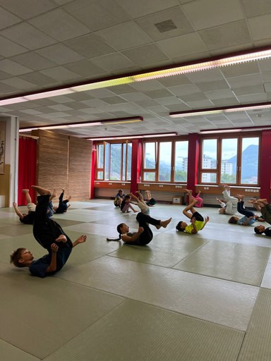 Aikido