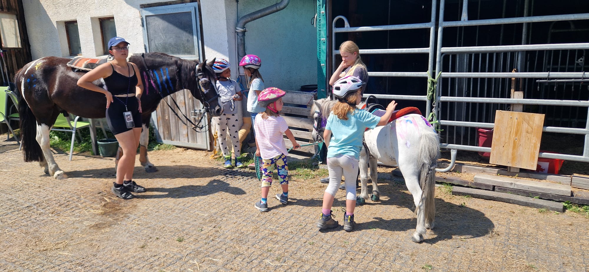 Alles rund ums Pferd