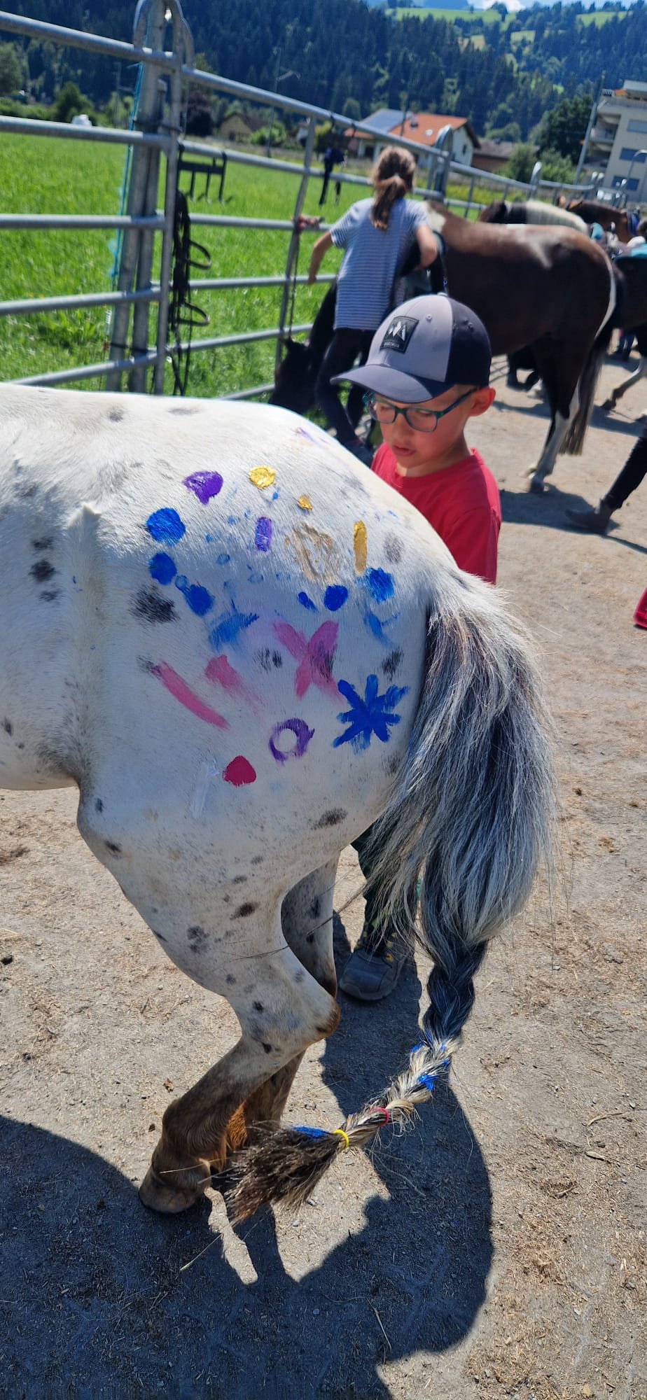 Alles rund ums Pferd