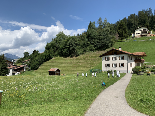 Bienen erleben in Churwalden