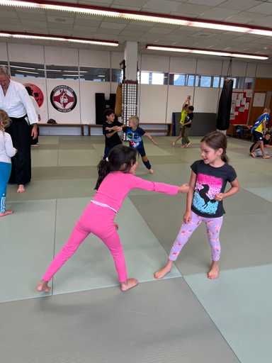 Aikido