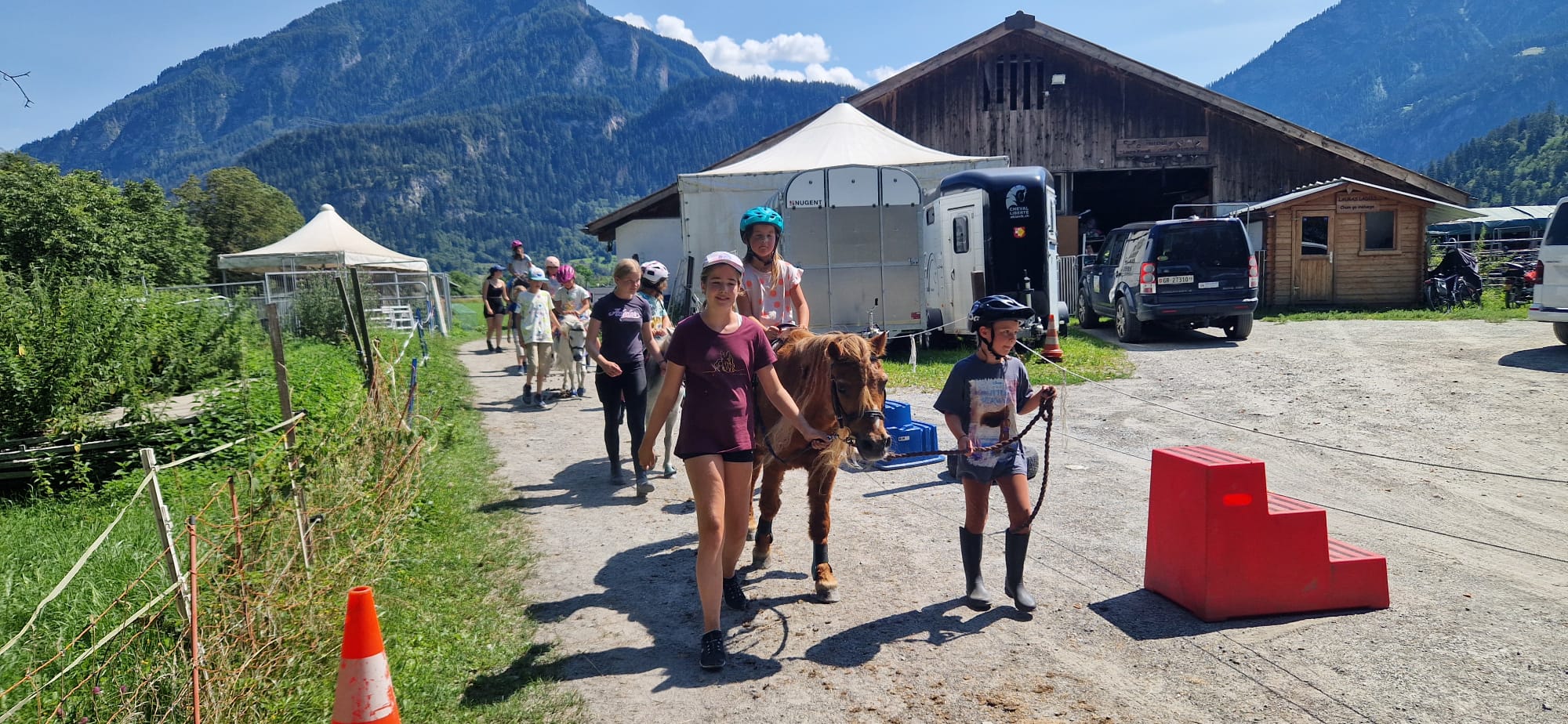 Alles rund ums Pferd