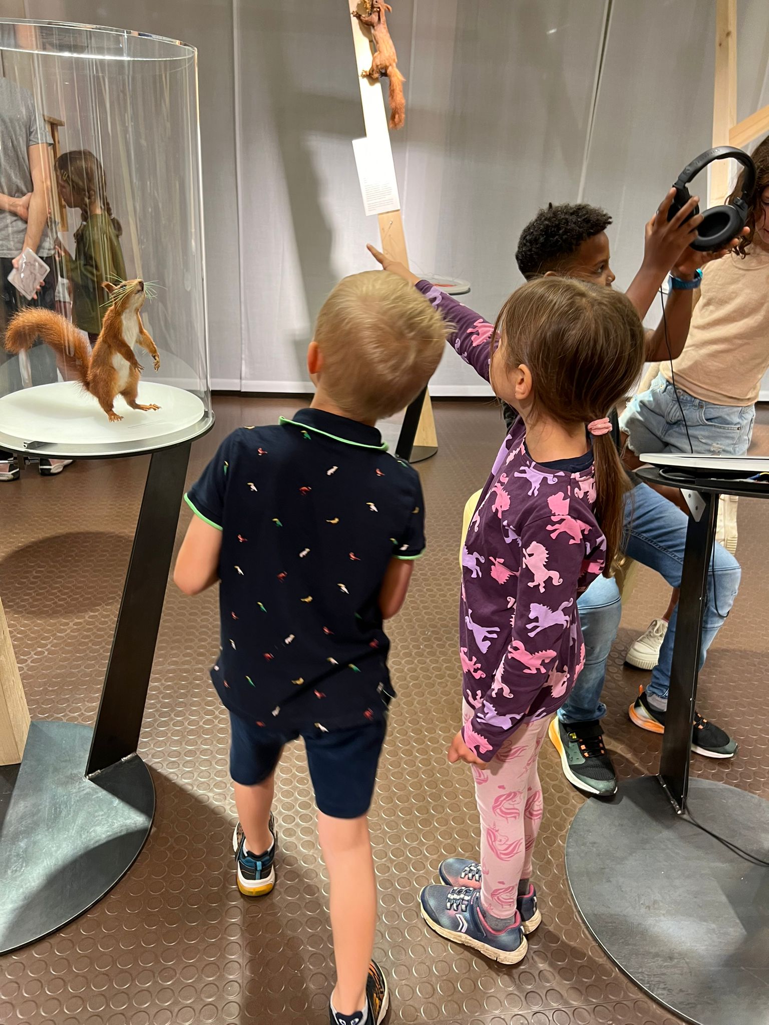 Naturmuseum Eichhörnchen