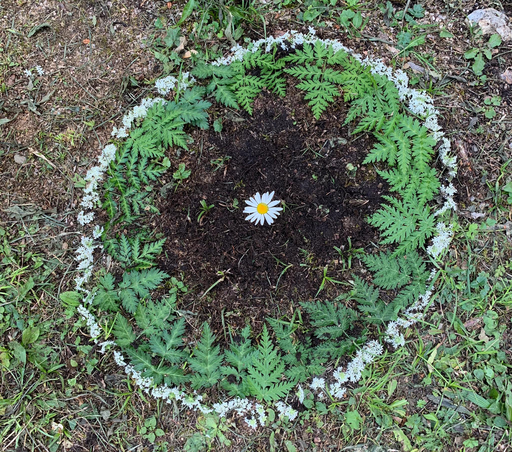 In der Natur - mit der Natur